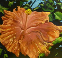 Hibiscus by Steven Guy Bilodeau