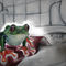 Bathroomcelebrity-frog