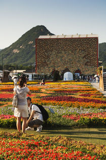 Flower arrangements in Seoul. by Tom Hanslien
