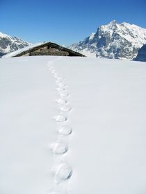 Footprints by Bettina Schnittert