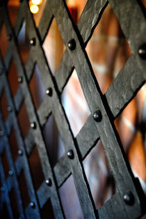 The steel gate von holka