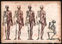 Five Skeletons in a Row von Mark Strozier