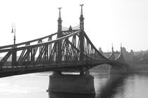 Liberty Bridge by Evren Kalinbacak