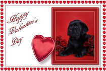 Labrador Valentine card 2 by Waldek Dabrowski