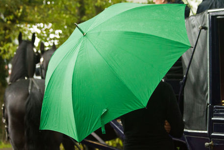 Green-umbrella
