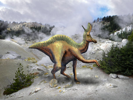 Lambeosaurus-near-steam-vent-f