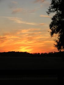 Sunset at the Florida Horse Park  von Warren Thompson