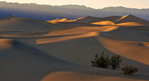 Dunes sunset by Johan Elzenga