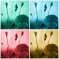 Mohnblumen Kunst Bilder Collage 2012 von Falko Follert