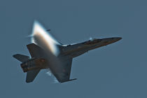 F-18 Hornet by holka