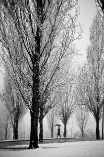 Winter walk by carlos sanchez pereyra