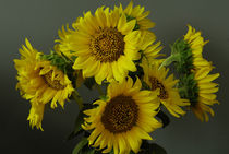 Sunflower 4 von Razvan Anghelescu