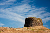 Hat Rock, Hat Rock State Park, Oregon by Michael Kloth
