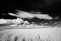 Wheat and Clouds von Michael Kloth