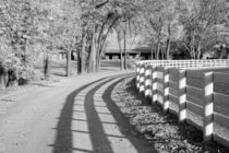 White Plank Fence and Shadows at the Red Mile by Michael Kloth
