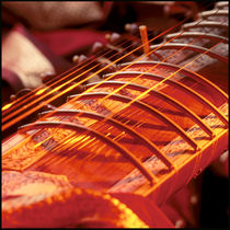 The sitar by Vito Magnanini