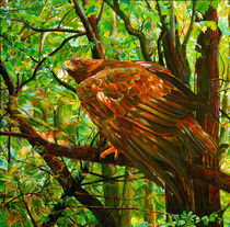 Forest Sentinal  by Kelly McNeil