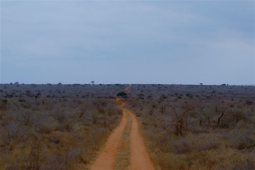 African-landscape