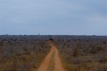 African-landscape