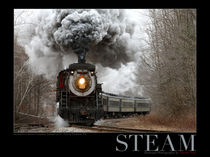 Steam at Elmhurst von Daniel Troy
