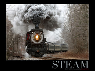 Steam-elmhurst