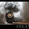 Steam-elmhurst