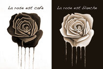 Chocolate Rose von Darrell Ross