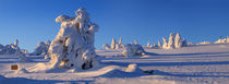 Winterpanorama am Brocken 05 von Karina Baumgart