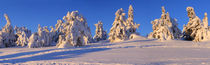 Winterpanorama am Brocken 06 von Karina Baumgart