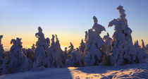 Winterpanorama am Brocken 07 von Karina Baumgart