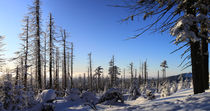 Winterpanorama am Brocken 10 by Karina Baumgart