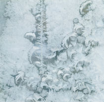 ice feathers von Franziska Rullert