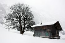 Melancholie des Winters by Bettina Schnittert