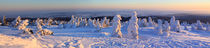 Winterpanorama am Brocken 12 von Karina Baumgart