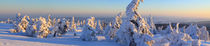 Winterpanorama am Brocken 11 von Karina Baumgart