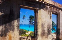 Old Plantation House, Barbados by Melissa Salter