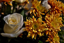 Rose with flowers von David Freeman