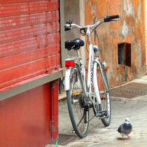 Bicycle, shop and pidgeon by artskratches