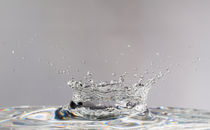 Water Splash von Graham Prentice