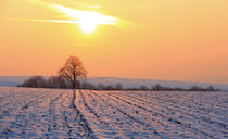 Sonnenuntergang in Winterlandschaft von Wolfgang Dufner