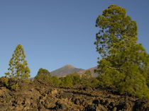 Pico del Teide by Petra Koob