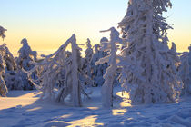 Winterlandschaft am Brocken im Harz 26 von Karina Baumgart