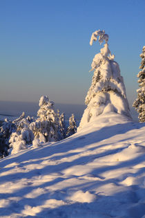 Winterlandschaft am Brocken im Harz 27 von Karina Baumgart