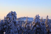 Winterlandschaft am Brocken im Harz 28 von Karina Baumgart