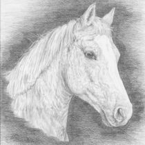 Your Pony von Susanne Winkels