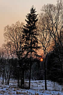 Sonnenuntergang im Winterwald von Wolfgang Dufner