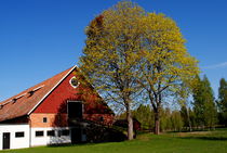 Dorf in Schweden  by tinadefortunata