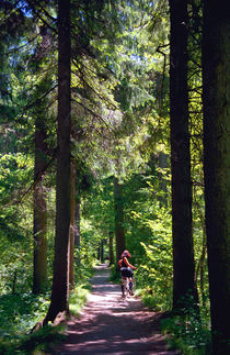 Tegernsee Woodland Trail Germany von Kevin W.  Smith