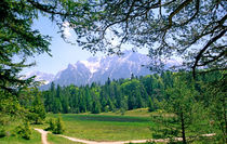 Ferchensee Trail Bavaria Germany by Kevin W.  Smith