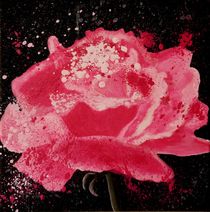 The power of rose by Petra Koob